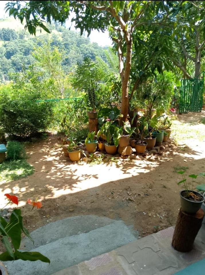 Bed and Breakfast Pasan Guest Ella Zewnętrze zdjęcie